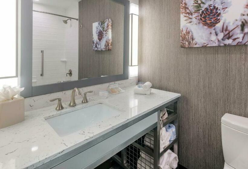 Номер Deluxe с Видом, Hilton Garden Inn Arvada Denver, Co