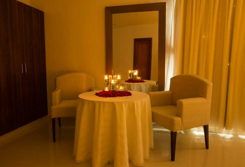 اتاق استاندارد با تخت بزرگ, Parque Del Sol