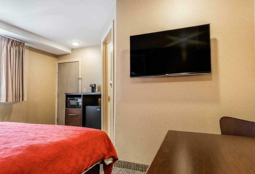 스탠다드 룸, Rodeway Inn Chicago/evanston