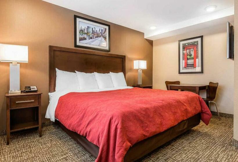 스탠다드 룸 킹사이즈 침대, Rodeway Inn Chicago/evanston