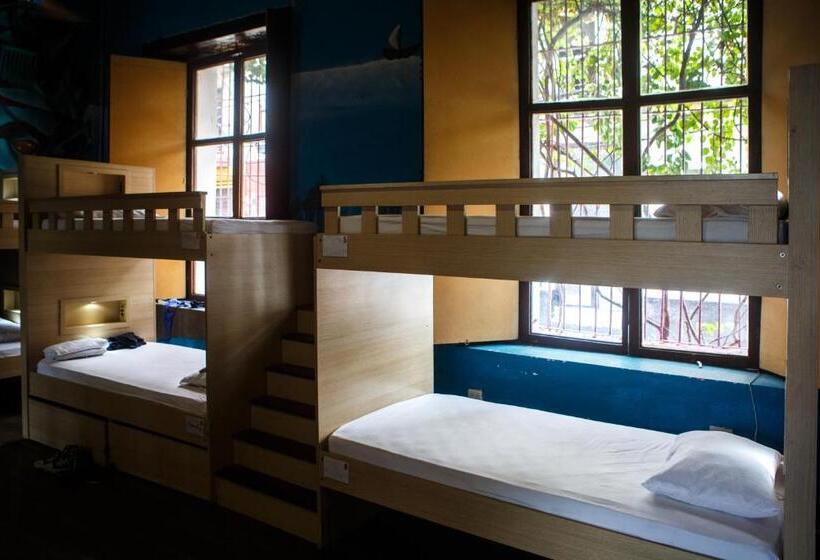 공동 객실, Aroha Villana Hostel