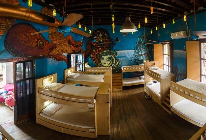 공동 객실, Aroha Villana Hostel