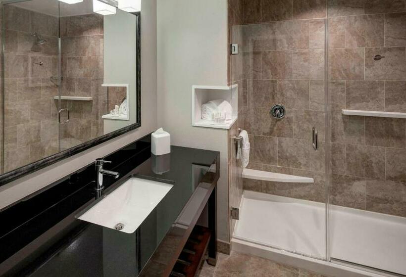带大床的标准间, Courtyard By Marriott Dallas Plano/richardson