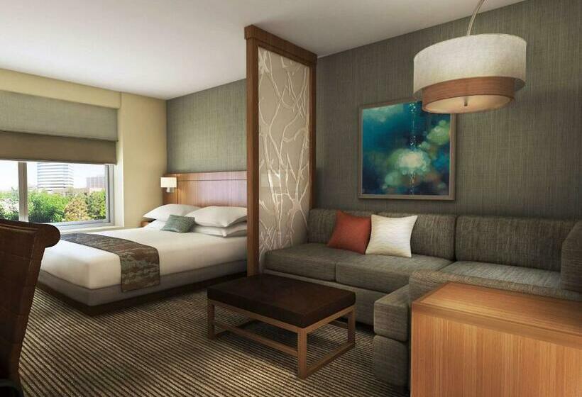 Номер Стандарт 2 Двуспальные Кровати, Hyatt Place Austin Airport