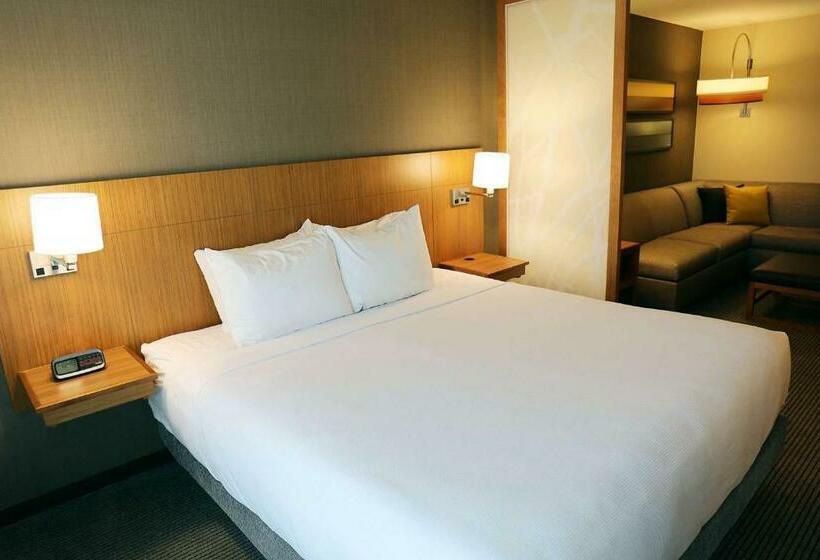 Номер Стандарт, Hyatt Place Austin Airport