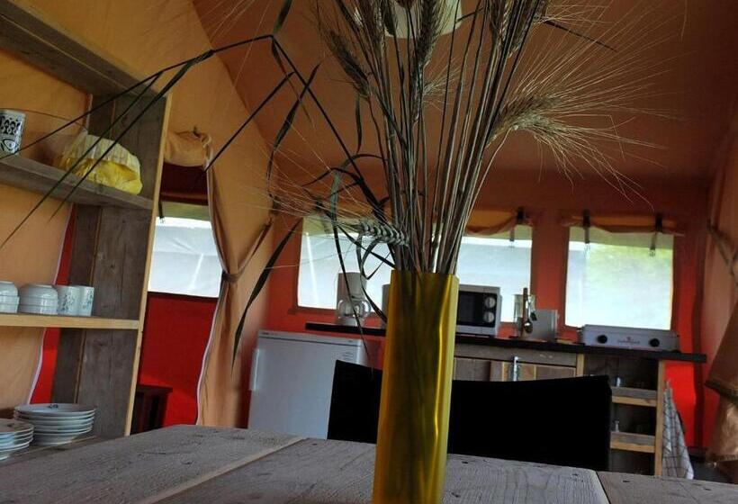 Standard Tent, Les ânes De Forcalquier