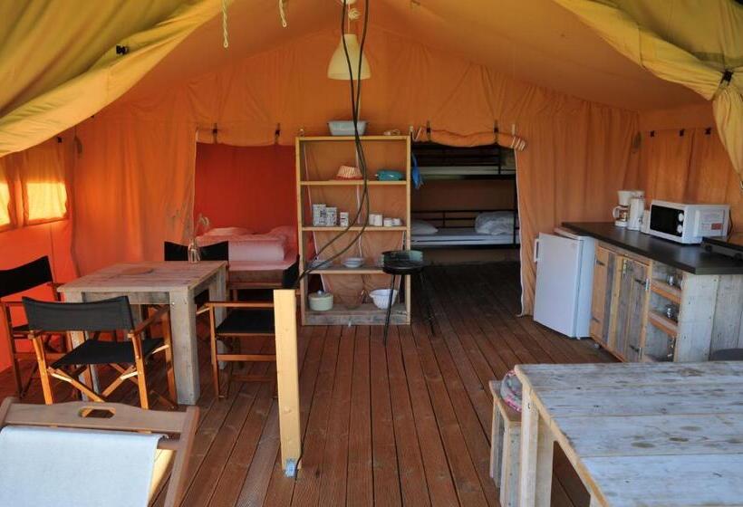 Standard Tent, Les ânes De Forcalquier
