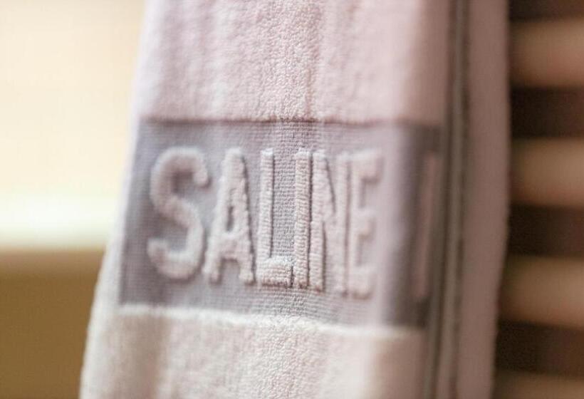 Номер Стандарт, La Saline Royale