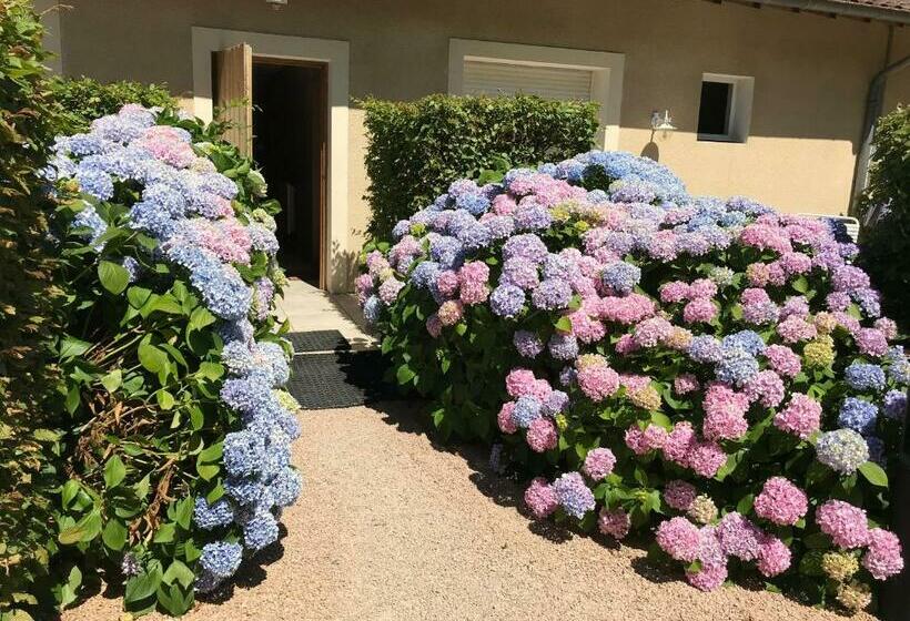 스탠다드 룸, Auberge Les Hauts De Chenas