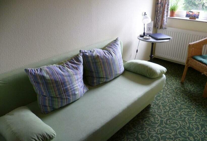 스탠다드 싱글 룸, Gesundheitshotel Haus Sonnenstein