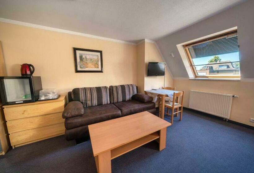 Номер Стандарт Индивидуальный, City Hotel Hilden