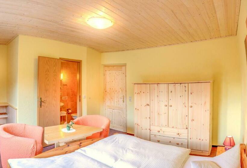 Номер Стандарт, Ferienhotel Goldhübel