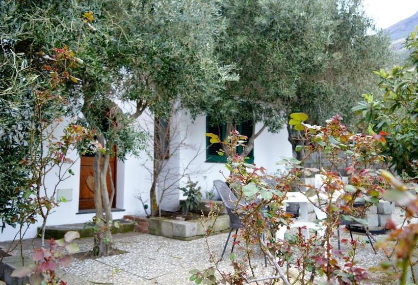 Номер Стандарт, B&b Il Giardino Segreto