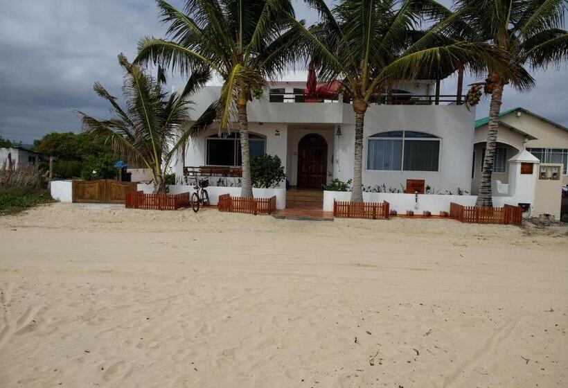 اتاق سوپریور, Drake Inn