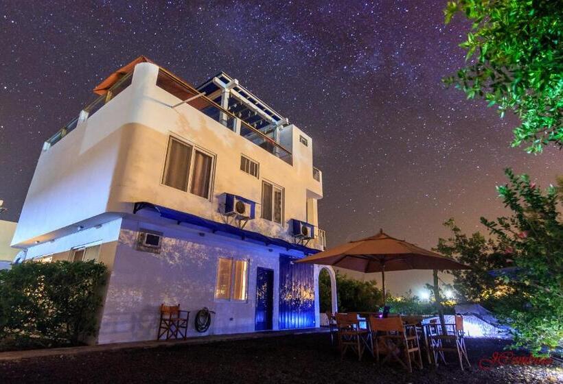 Семейный Полулюкс, Drake Inn