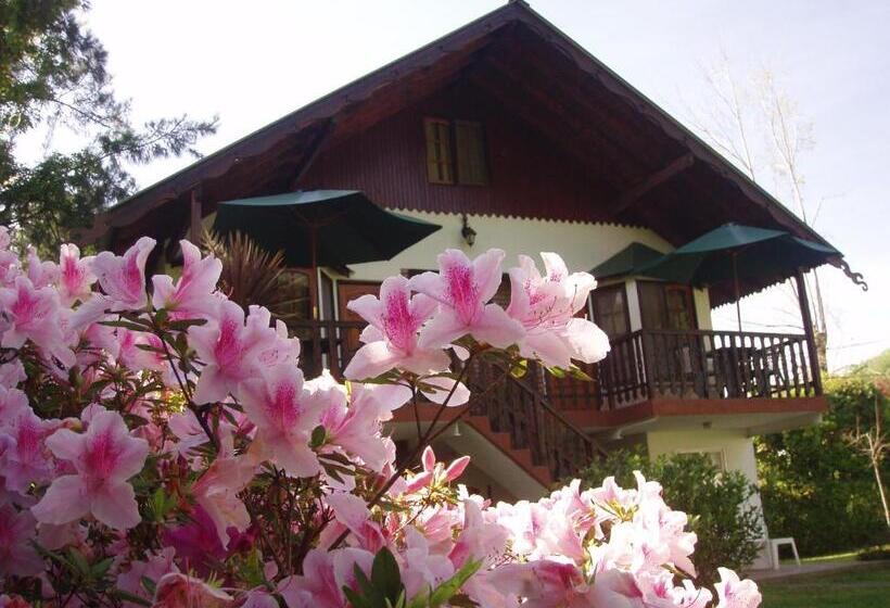 샬레, Alpenhaus Bier Und Gasthaus