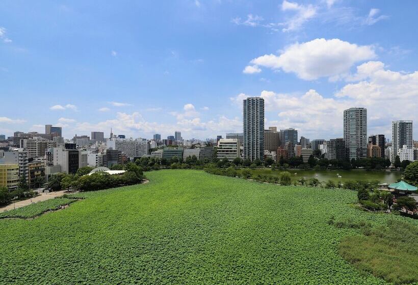 Одноместный Номер Basic, Apa Hotel Keisei Ueno Ekimae