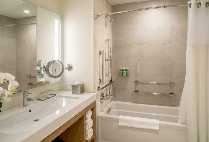 장애인을 위한 킹사이즈 침대 스탠다드 룸, Limelight Hotel Ketchum