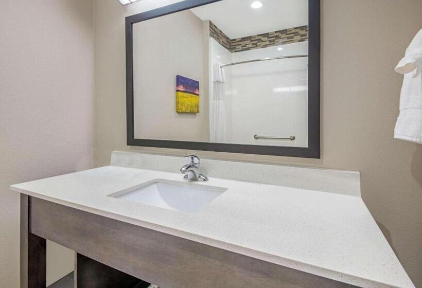 Номер Executive Кровать Кинг, La Quinta By Wyndham Weatherford Ok