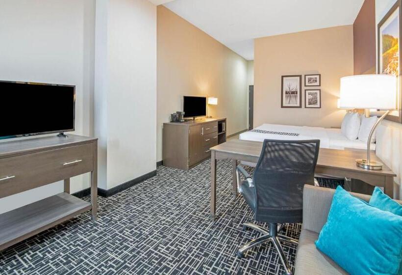 Номер Executive Кровать Кинг, La Quinta By Wyndham Weatherford Ok