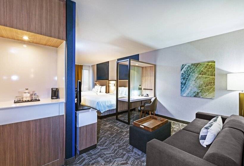 Студия Стандарт, Springhill Suites By Marriott Tulsa At Tulsa Hills