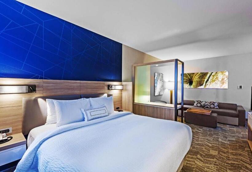 Студио Стандарт Кровать Кинг, Springhill Suites By Marriott Tulsa At Tulsa Hills
