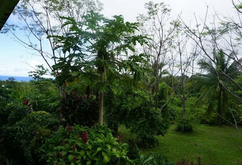 سوییت لوکس, Theview Camiguin