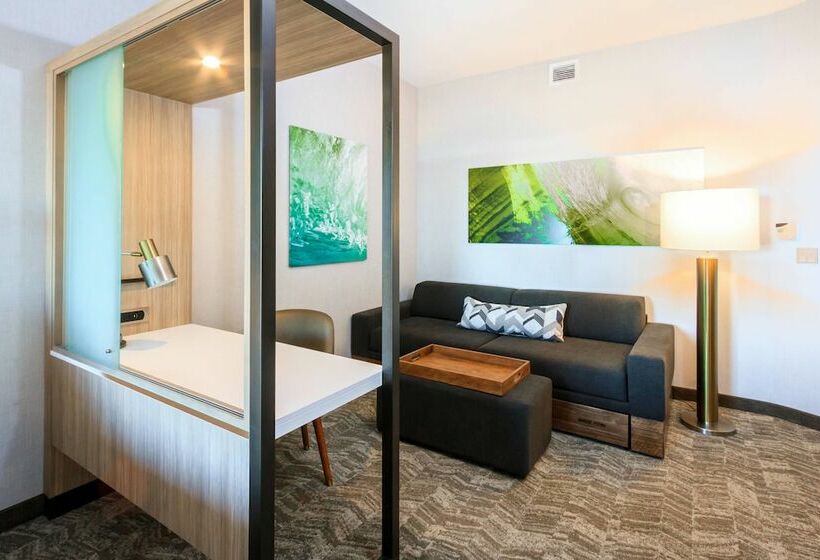 Люкс, Springhill Suites By Marriott The Dunes On Monterey Bay