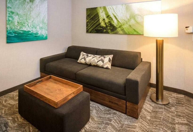 Suíte Cama King, Springhill Suites By Marriott The Dunes On Monterey Bay