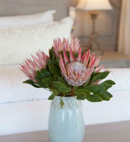 اتاق استاندارد, Hermanus Boutique Guest House