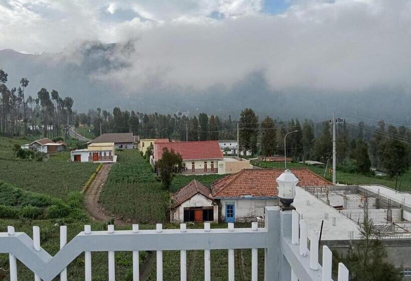 标准间, Aaa, Astungkara, Amazing Bromo Villa, Managed By Triple A Tour, Additional Bromo Jeep Tour And Airpo