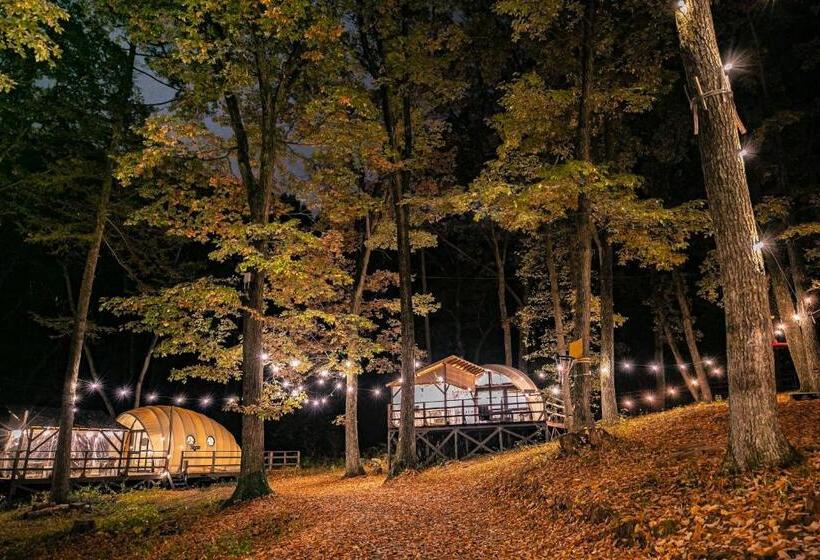 اتاق استاندارد چهارنفره با بالکن, Nagano Glampingbase Encamp