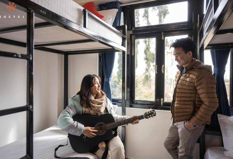 共用床高级房间, Zostel Rinchenpong