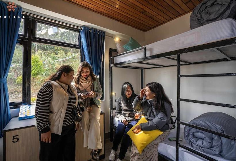 Bed in Shared Room, Zostel Rinchenpong