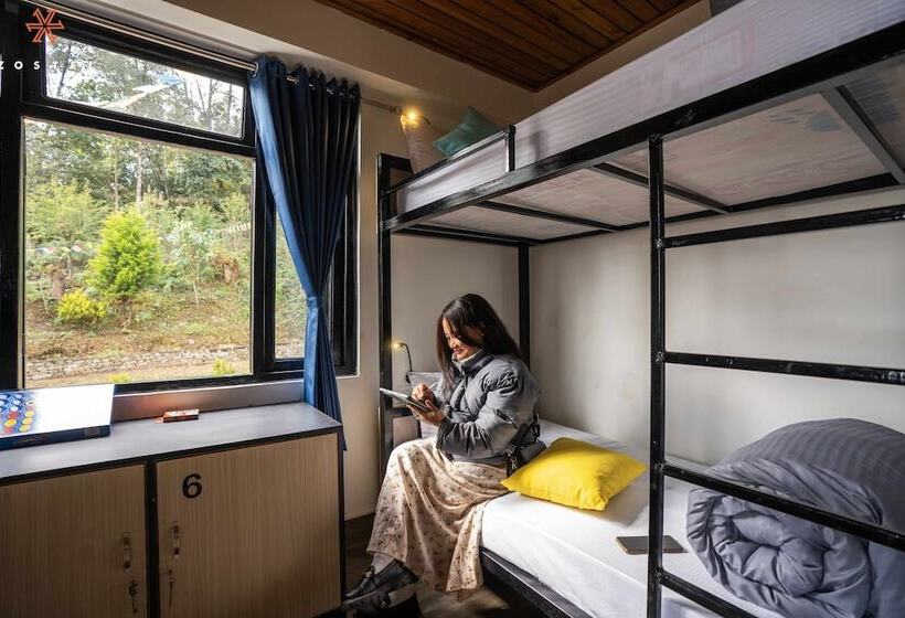 Bed in Shared Room, Zostel Rinchenpong