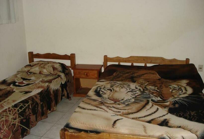 اتاق استاندارد چهار تخته, Danaly