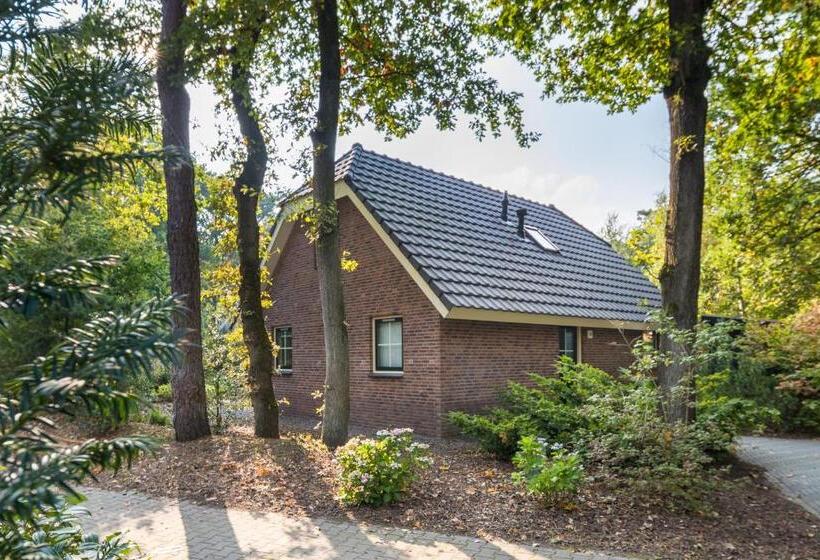 带花园景观的标准洋房, Landgoed Het Grote Zand