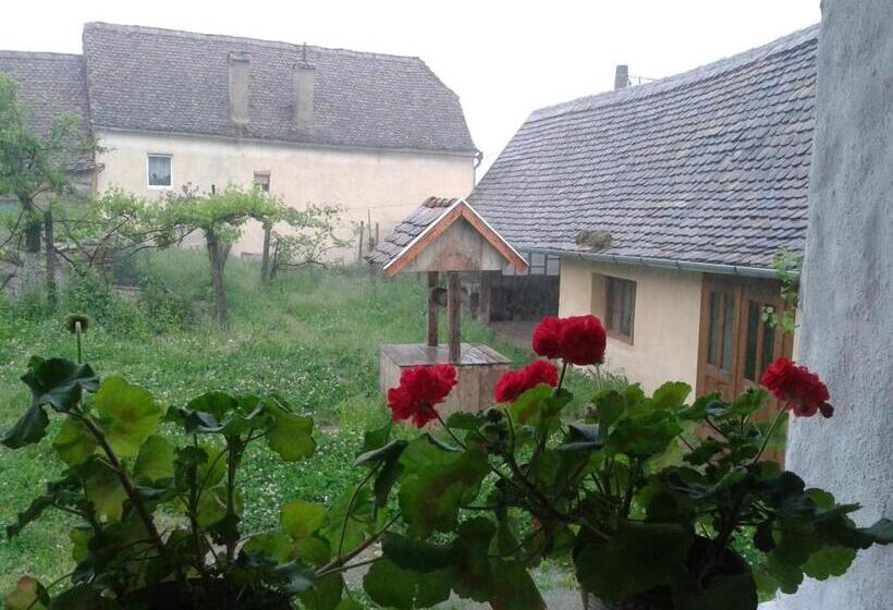 Полулюкс Одноместный с Террасой, Convivium Transilvania