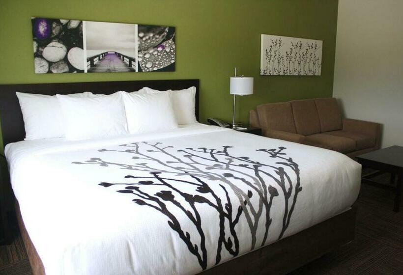 Люкс Кровать Кинг, Sleep Inn & Suites