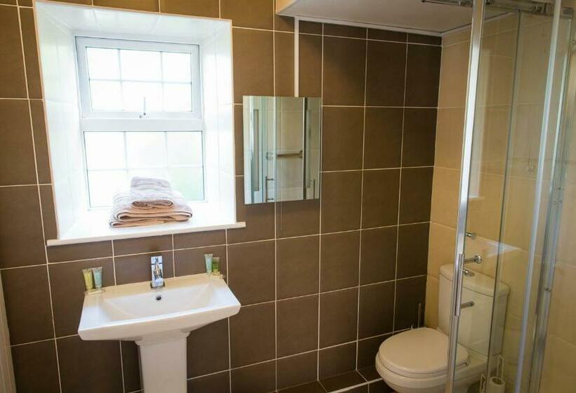 Номер Стандарт, Ballinwillin House