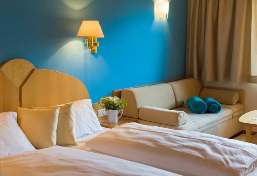 스탠다드 룸, Aparthotel Pfeffermühle