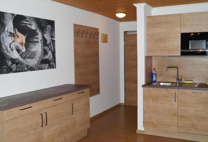 Апартаменты 1 Спальня, Sieglhub Chalets   Appartements