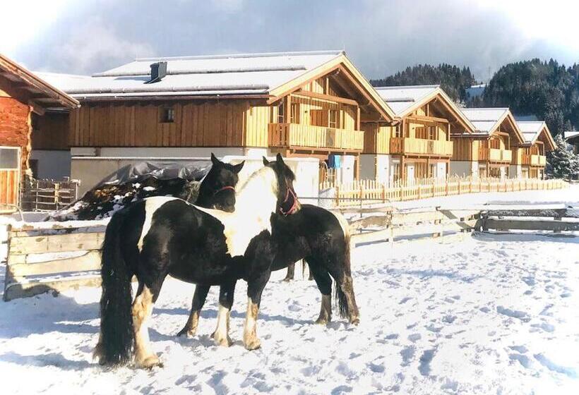 Шале 1 Спальня, Sieglhub Chalets   Appartements