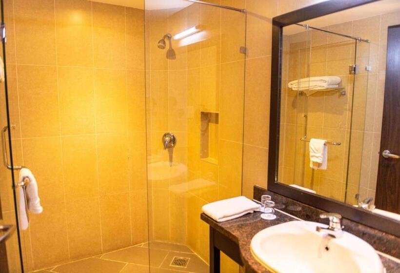اتاق استاندارد با تخت بزرگ, Acacia Premier