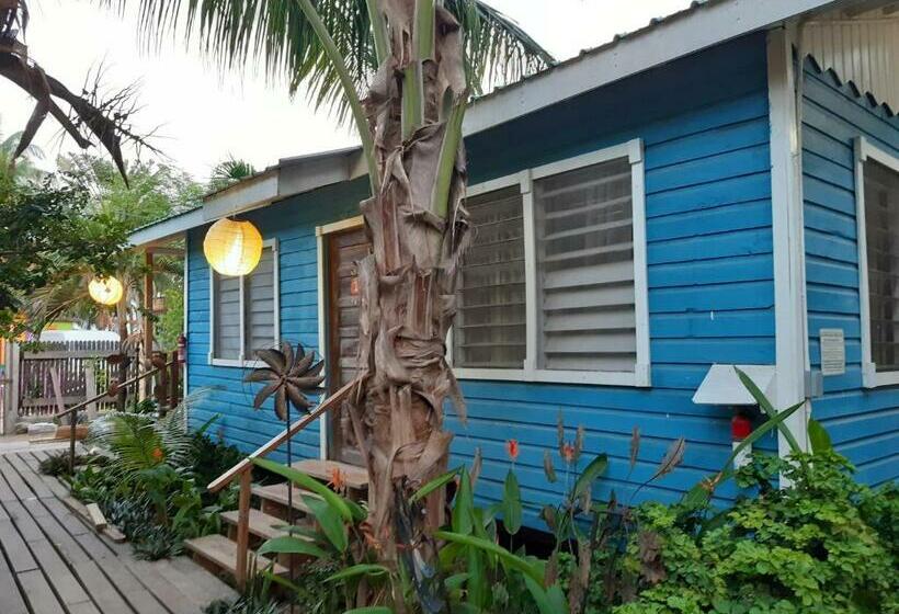 Номер Стандарт Совместная Ванная, The Funky Dodo Backpackers Hostel