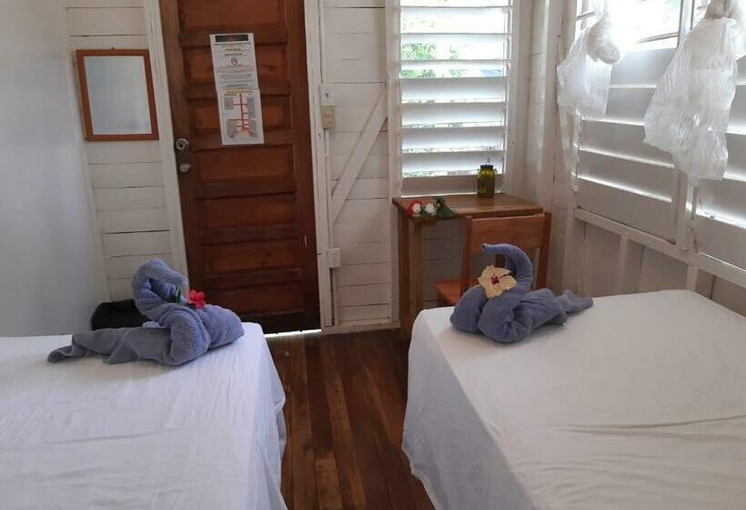 Номер Стандарт Совместная Ванная, The Funky Dodo Backpackers Hostel