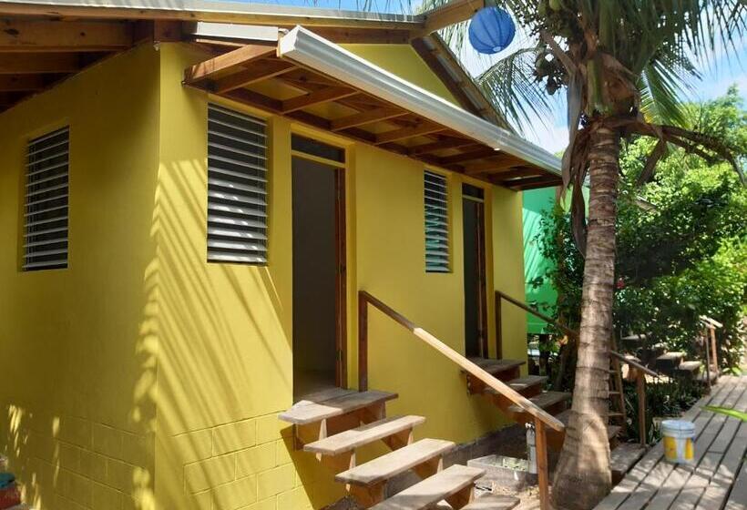 Номер Стандарт Совместная Ванная, The Funky Dodo Backpackers Hostel