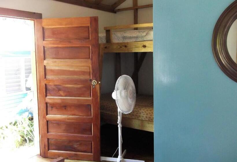 غرفة قياسية رباعية, The Funky Dodo Backpackers Hostel