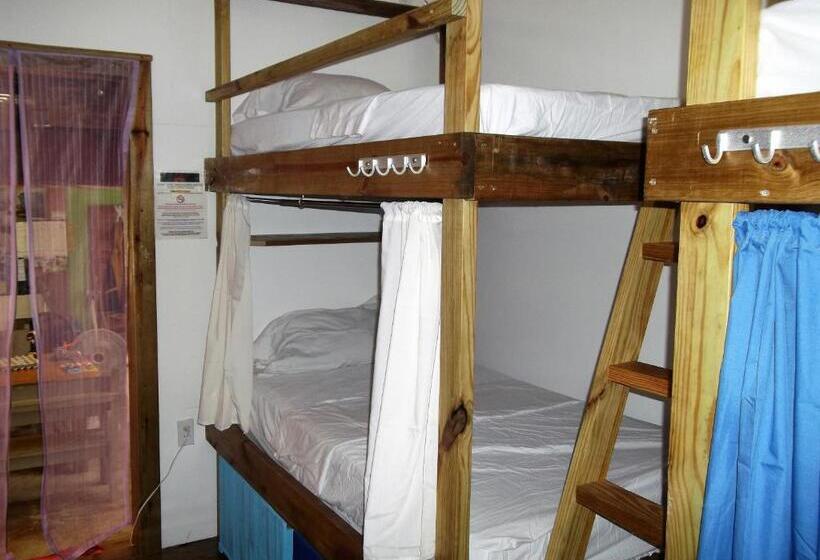Кровать в Общей Комнате, The Funky Dodo Backpackers Hostel