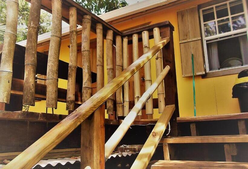 Номер Стандарт, The Funky Dodo Backpackers Hostel